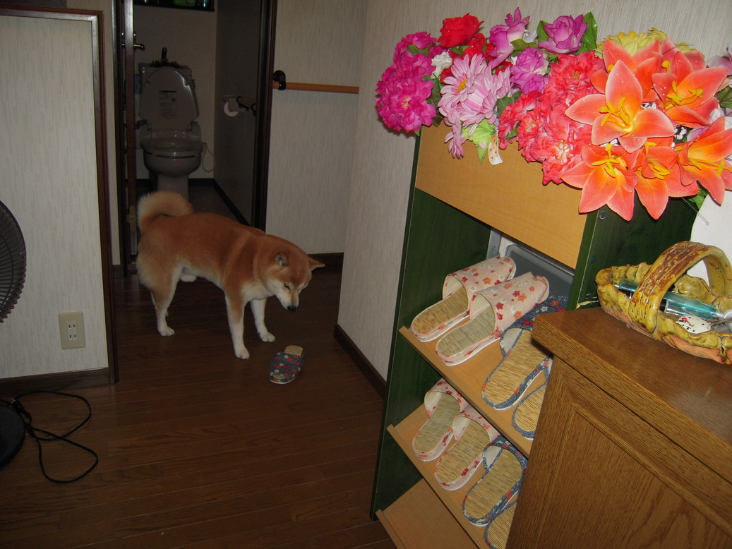 �U�O�㍟�ꂩ��P�T�N