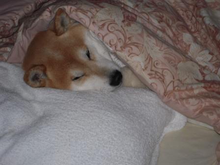 �U�O�㍟�ꂩ��P�T�N