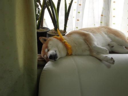 �U�O�㍟�ꂩ��P�T�N