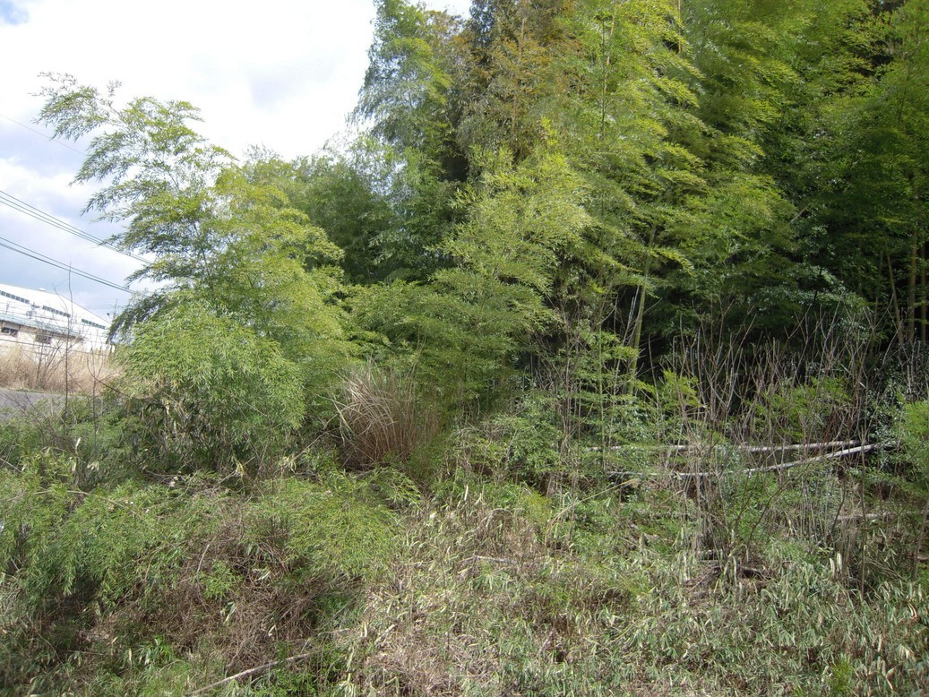 �U�O�㍟�ꂩ��P�T�N