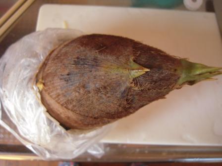 �U�O�㍟�ꂩ��P�T�N