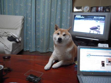 �U�O�㍟�ꂩ��P�T�N