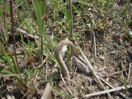 �U�O�㍟�ꂩ��P�T�N