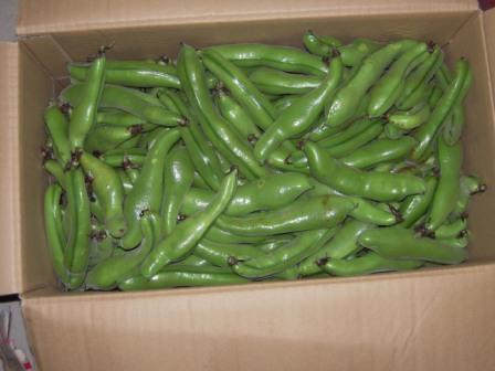 �U�O�㍟�ꂩ��P�T�N