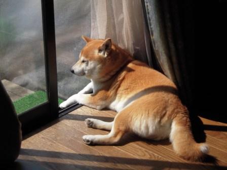 �U�O�㍟�ꂩ��P�T�N