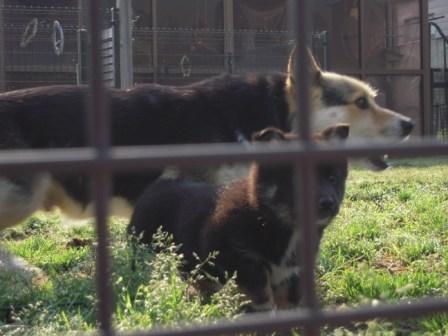 �U�O�㍟�ꂩ��P�T�N