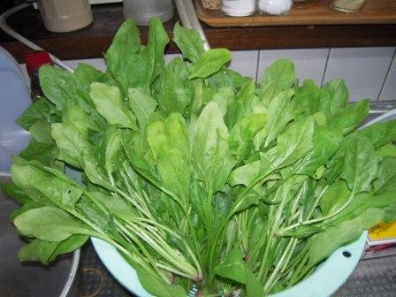 �U�O�㍟�ꂩ��P�T�N