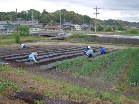 �U�O�㍟�ꂩ��P�T�N