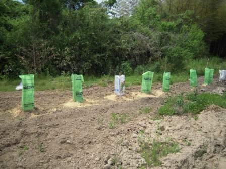 �U�O�㍟�ꂩ��P�T�N