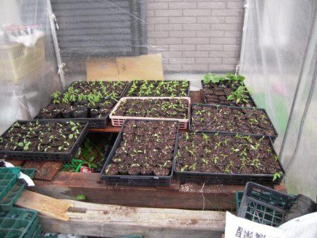 �U�O�㍟�ꂩ��P�T�N