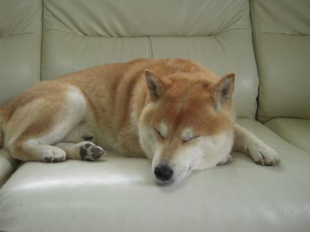 �U�O�㍟�ꂩ��P�T�N