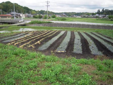 �U�O�㍟�ꂩ��P�T�N