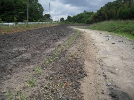 �U�O�㍟�ꂩ��P�T�N