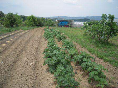 �U�O�㍟�ꂩ��P�T�N