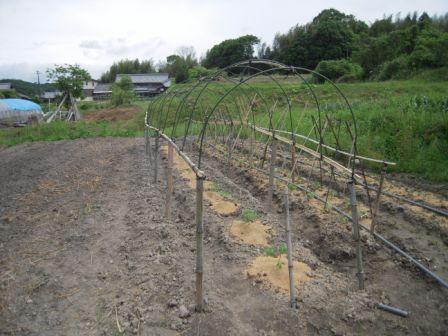 �U�O�㍟�ꂩ��P�T�N