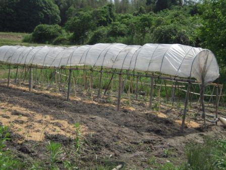 �U�O�㍟�ꂩ��P�T�N