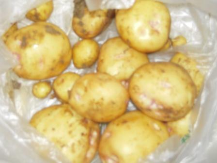 �U�O�㍟�ꂩ��P�T�N