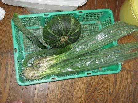 �U�O�㍟�ꂩ��P�T�N