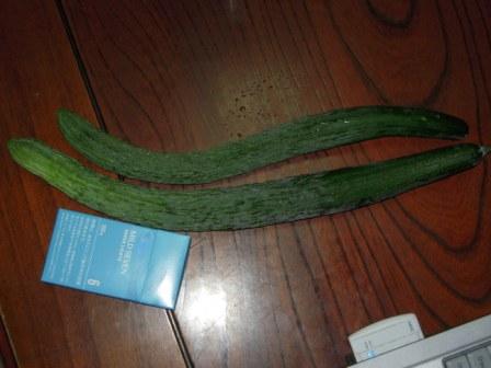 �U�O�㍟�ꂩ��P�T�N