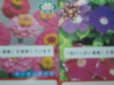 �U�O�㍟�ꂩ��P�T�N