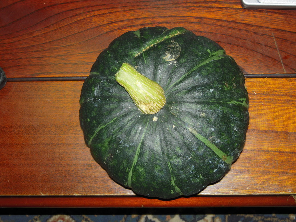 �U�O�㍟�ꂩ��P�T�N