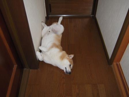 �U�O�㍟�ꂩ��P�T�N