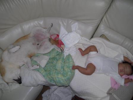 �U�O�㍟�ꂩ��P�T�N