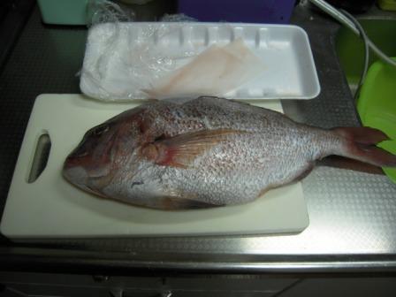 �U�O�㍟�ꂩ��P�T�N