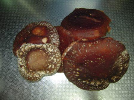 �U�O�㍟�ꂩ��P�T�N