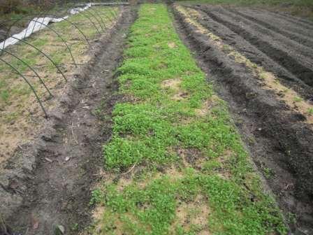 �U�O�㍟�ꂩ��P�T�N