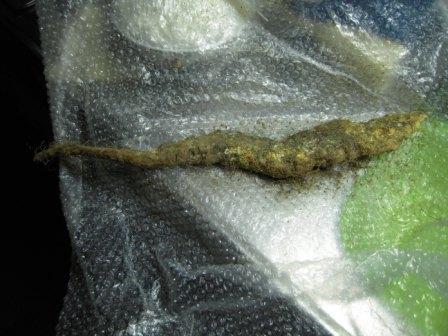 �U�O�㍟�ꂩ��P�T�N