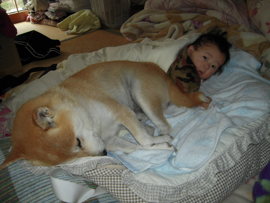 �U�O�㍟�ꂩ��P�T�N