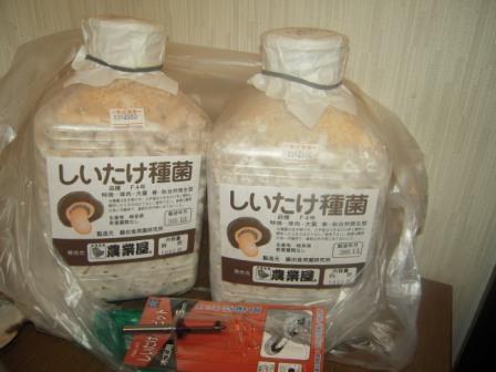 �U�O�㍟�ꂩ��P�T�N