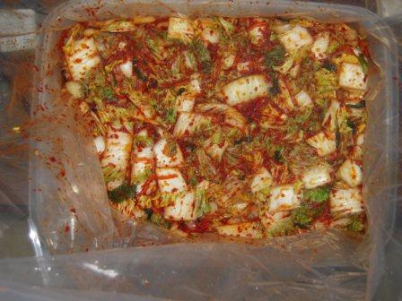 �U�O�㍟�ꂩ��P�T�N