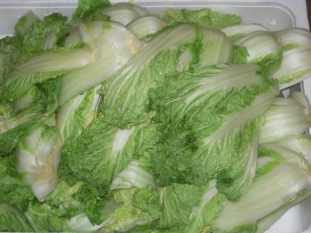 �U�O�㍟�ꂩ��P�T�N