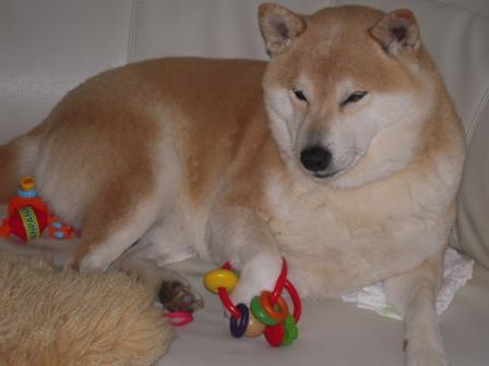 �U�O�㍟�ꂩ��P�T�N