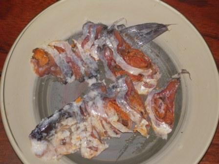 �U�O�㍟�ꂩ��P�T�N