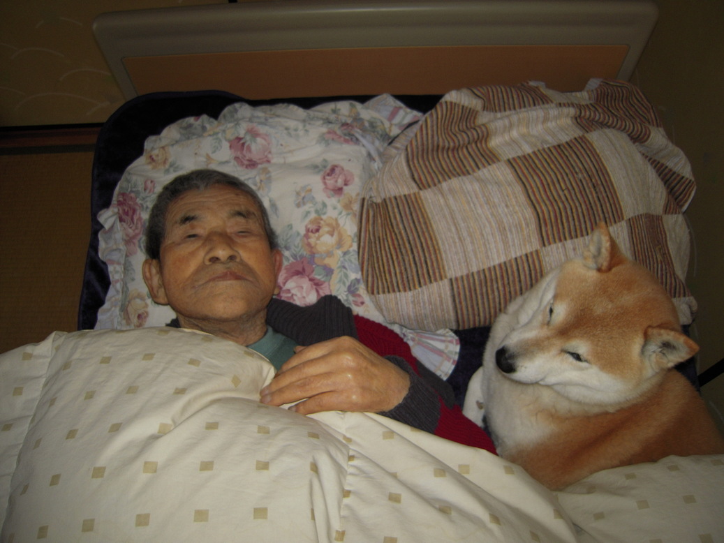 �U�O�㍟�ꂩ��P�T�N