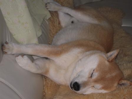 �U�O�㍟�ꂩ��P�T�N