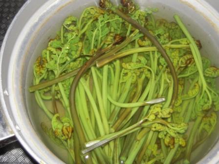 �U�O�㍟�ꂩ��P�T�N