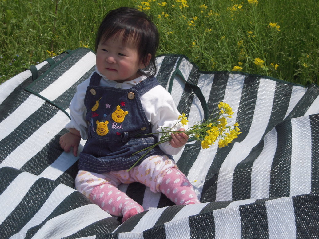 �U�O�㍟�ꂩ��P�T�N