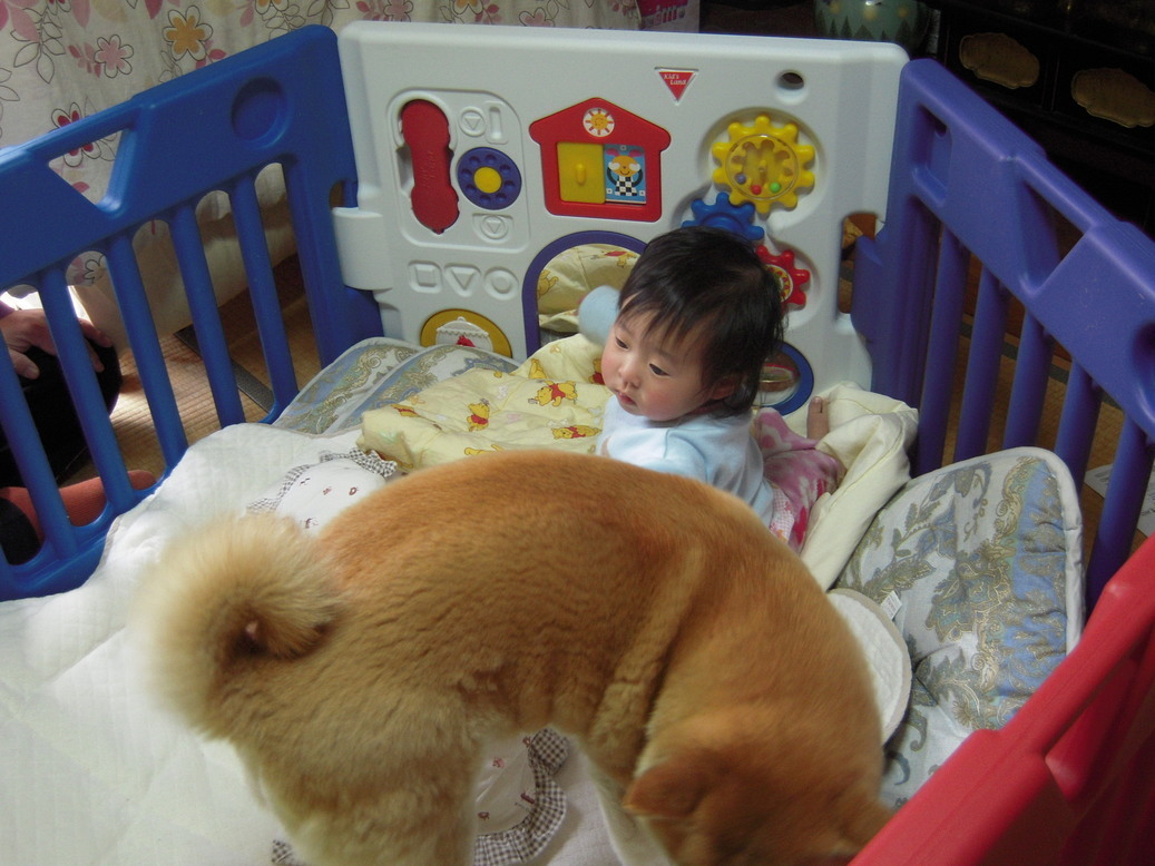 �U�O�㍟�ꂩ��P�T�N