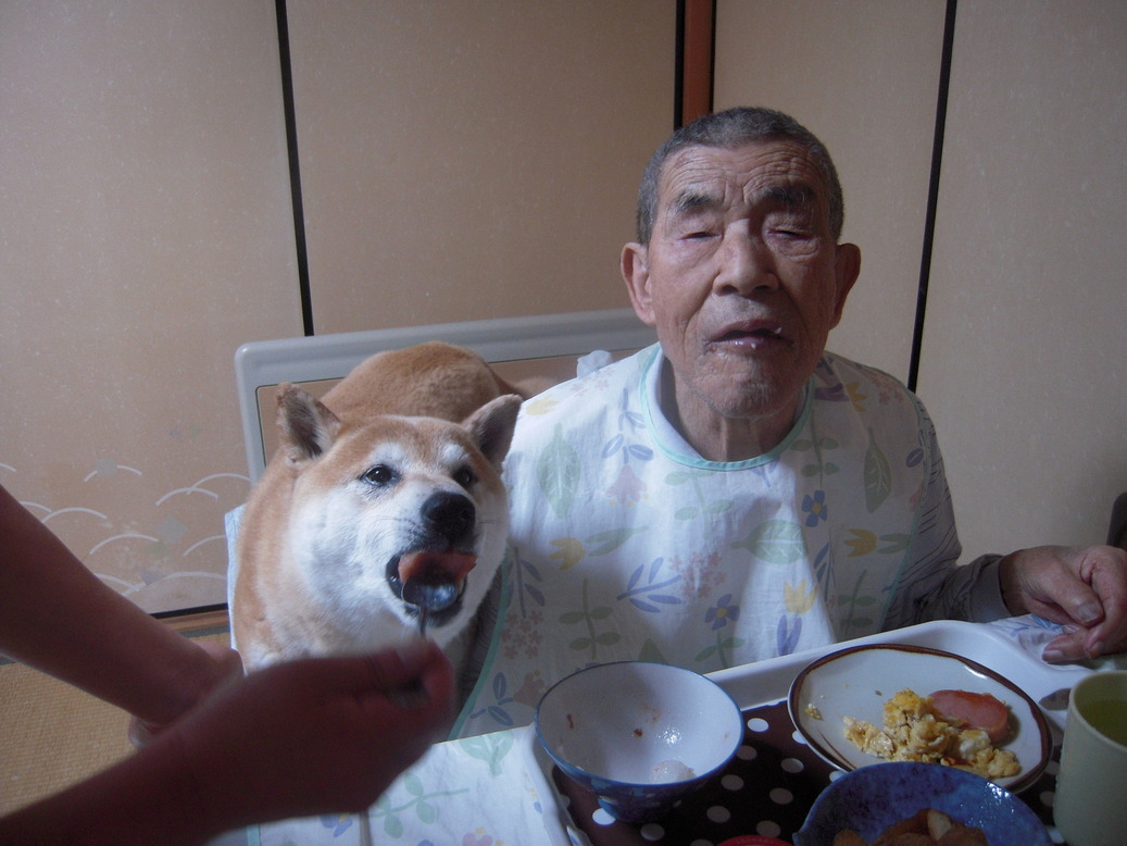 �U�O�㍟�ꂩ��P�T�N