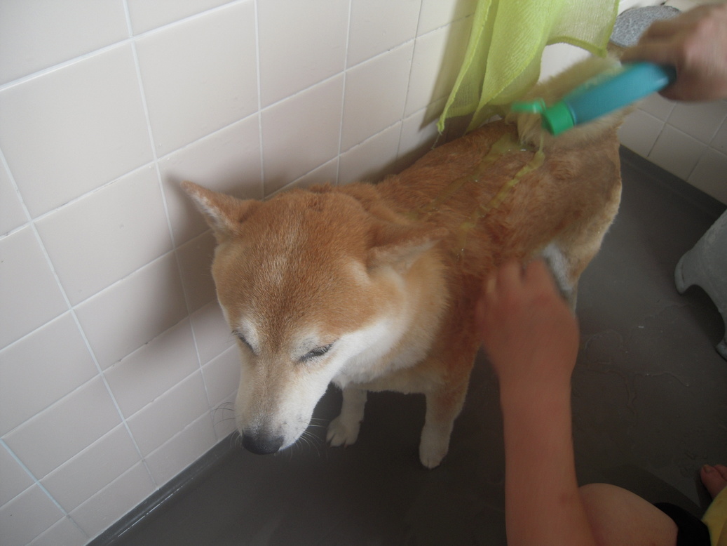 �U�O�㍟�ꂩ��P�T�N