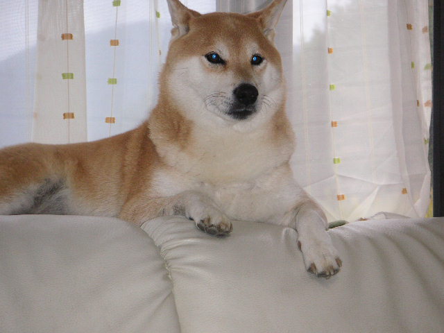 �U�O�㍟�ꂩ��P�T�N