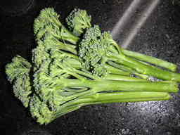 �U�O�㍟�ꂩ��P�T�N