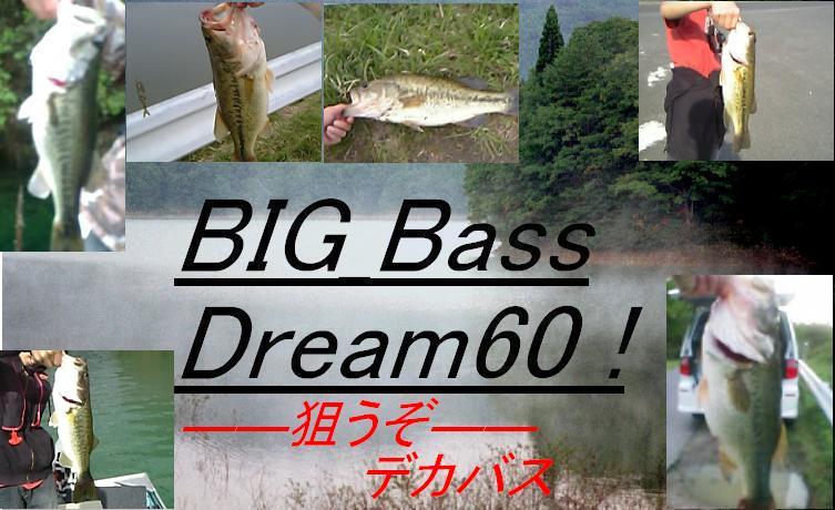 BIG_Bass_Dream60