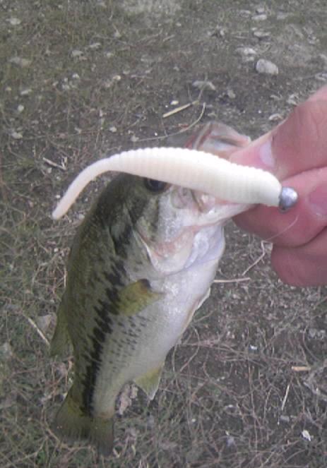 BIG_Bass_Dream60