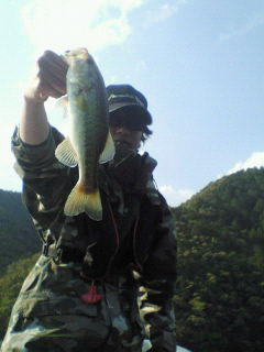 BIG_Bass_Dream60