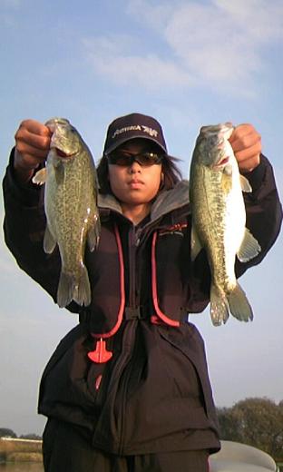 BIG_Bass_Dream60